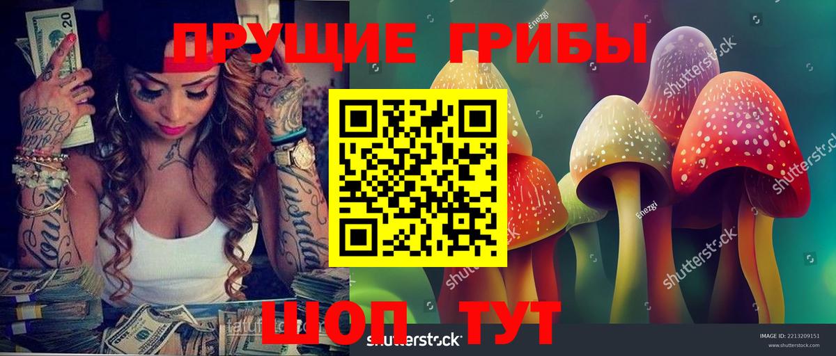 Галлюциногенные грибы Cubensis  Галлюциногенные грибы GOLDEN TEACHER  Верхний Уфалей  Вход с VPN 